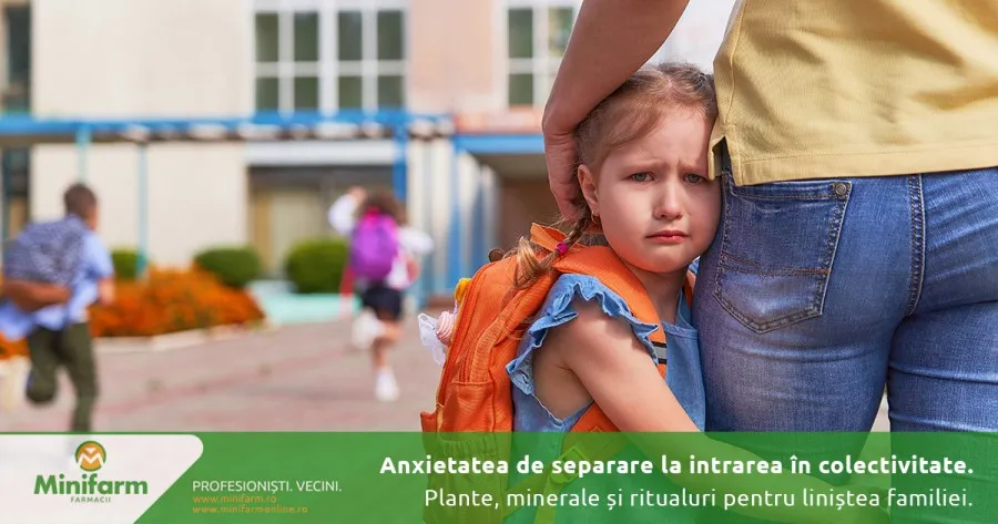 Anxietatea de separare la intrarea în colectivitate: Plante, minerale și ritualuri pentru liniștea familiei