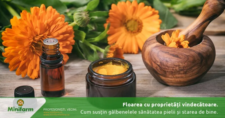 Floarea cu proprietăți vindecătoare: cum pot susține gălbenelele sănătatea pielii și starea generală de bine