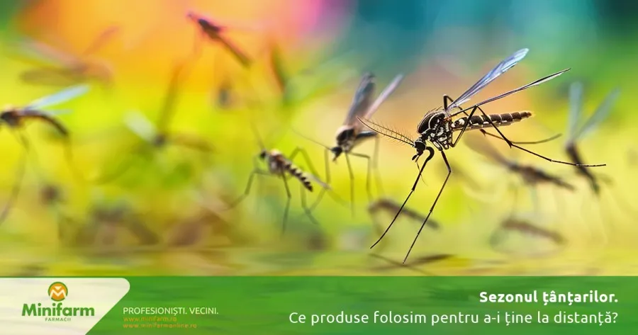 Sezonul țânțarilor – ce produse folosim pentru a-i ține la distanță și cum ne protejăm eficient