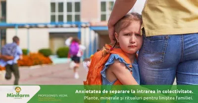 Anxietatea de separare la intrarea în colectivitate: Plante, minerale și ritualuri pentru liniștea familiei