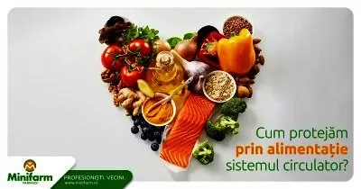 Cum protejam prin alimentatie sistemul circulator? Ce trebuie sa consumam daca suferim de afectiuni circulatorii?