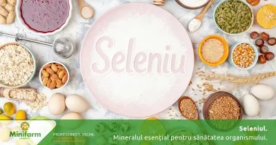 Mineralul discret, dar esențial: de ce este important seleniul pentru sănătatea întregului organism