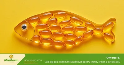 Omega-3 – cum alegem suplimentul potrivit pentru inimă, creier și articulații