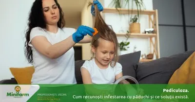 Pediculoza: cum recunoști infestarea cu păduchi și ce soluții eficiente există pentru tratament și prevenție