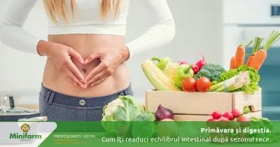 Primăvara și digestia: cum îți readuci echilibrul intestinal după sezonul rece prin alimentație și obiceiuri simple