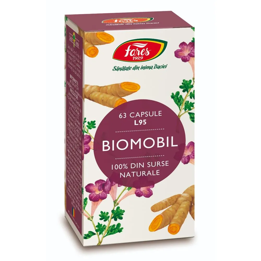 Biomobil, L95, 63 capsule, Fares