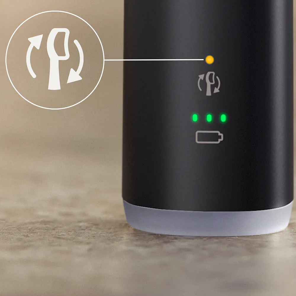 Periuta Electrica 6500 Negru + Toc HX7411/01, Philips Sonicare