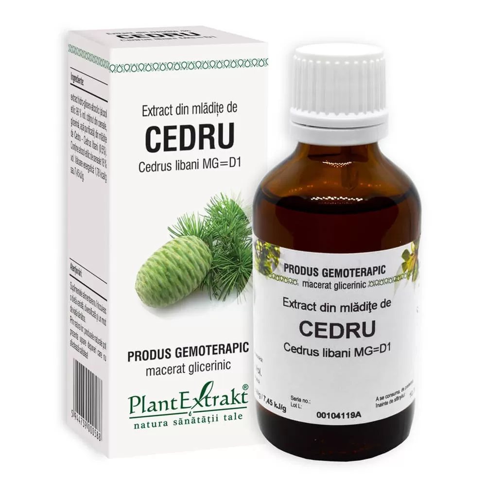 Extract din mladite de Cedru, 50 ml, Plant Extrakt