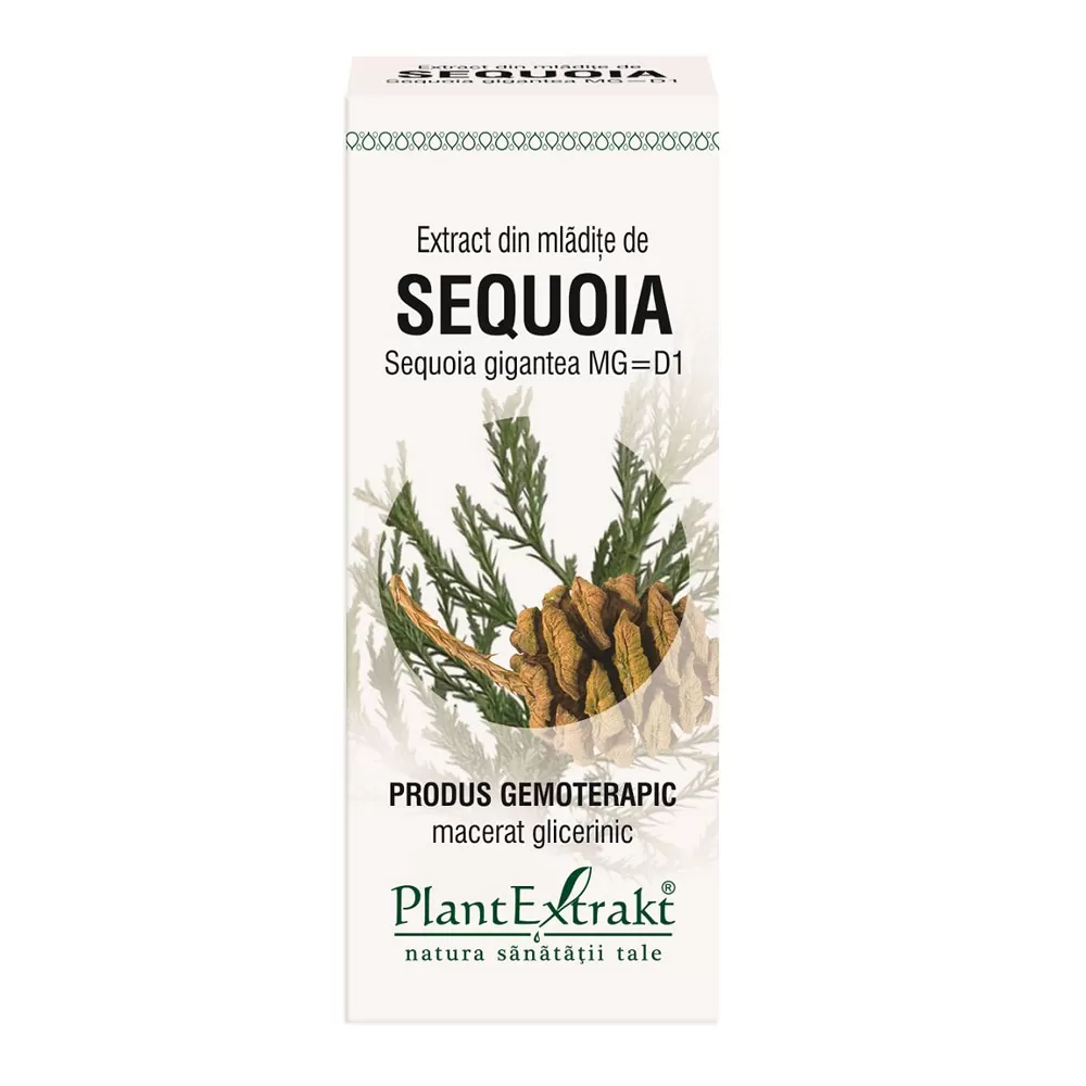 Extract din mladite de Sequoia, 50 ml, Plant Extrakt