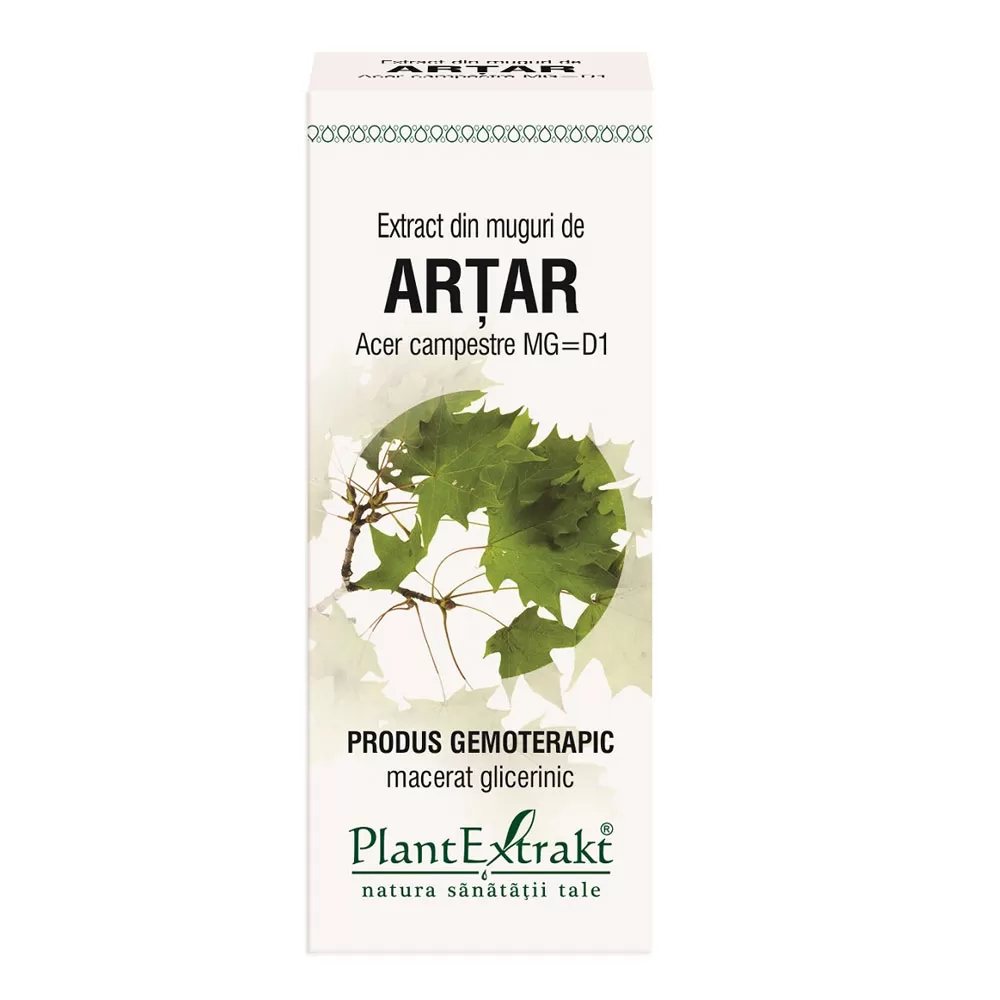 Extract din muguri de artar, 50ml, Plantextrakt