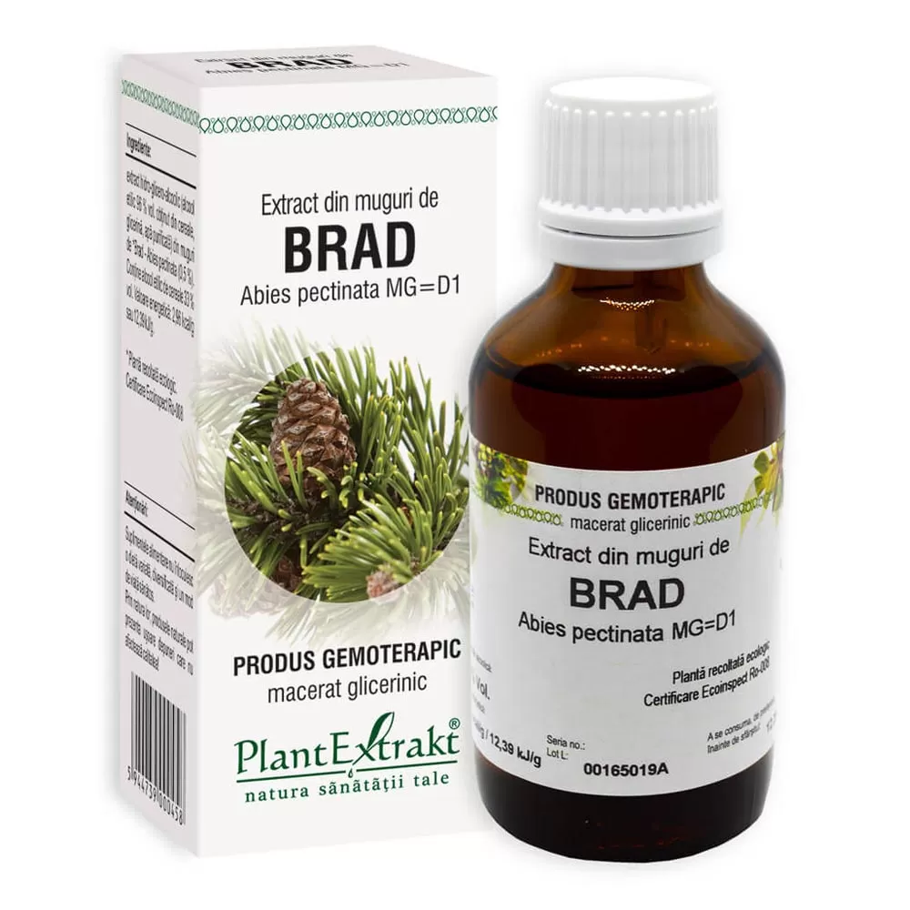 Extract din muguri de Brad, 50 ml, Plant Extrakt