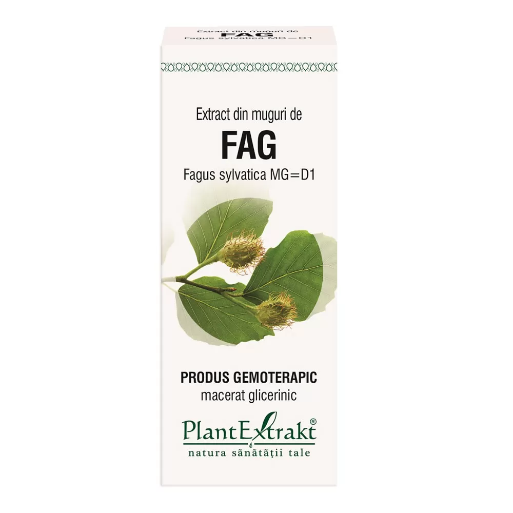 Extract din muguri de Fag, 50 ml, Plant Extrakt