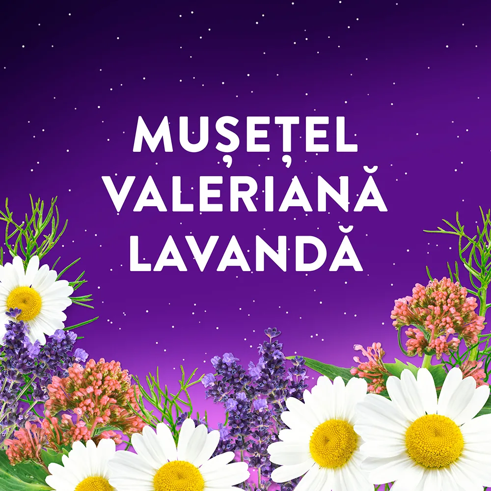 Supliment alimentar Zzzquil Natura cu melatonina, vit. B6, musetel, valeriana si lavanda, 60 jeleuri