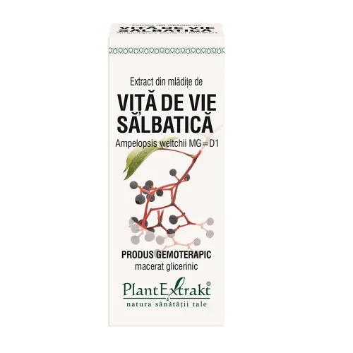 Extract din mladite de vita de vie salbatica, 50ml, Plantextrakt