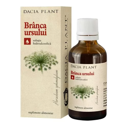 Tinctura de Branca ursului, 50ml, Dacia Plant