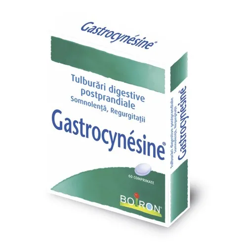 Gastrocynesine, 60 comprimate, Boiron