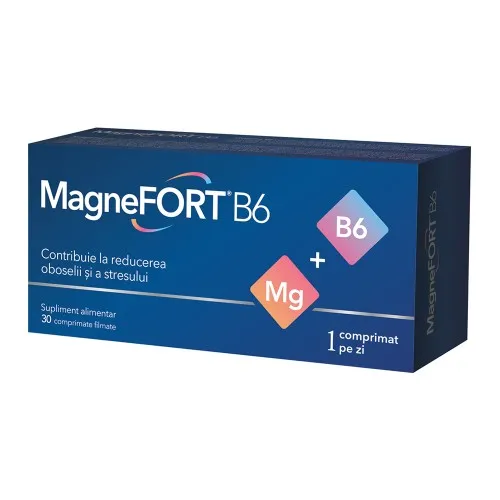 MagneFort