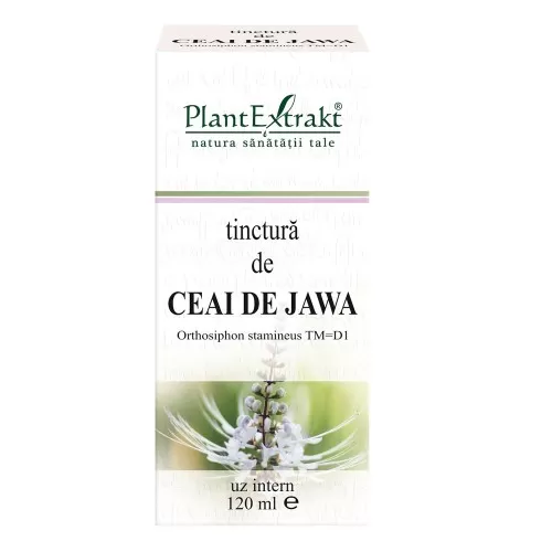 Tinctura Ceai Jawa, 120ml, Plantextrakt