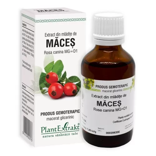 Extract din mladite de Maces, 50 ml, Plant Extract