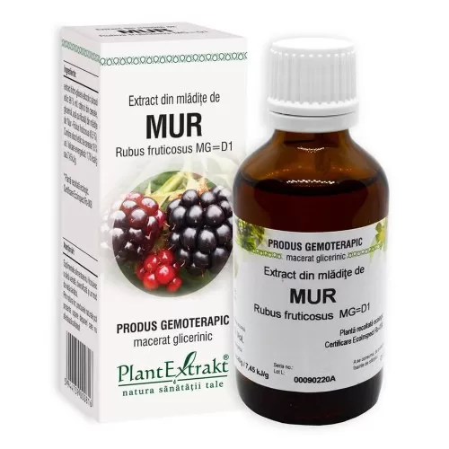 Extract din mladite de mur, 50 ml, Plant Extrakt