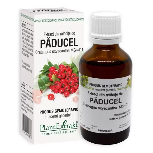Extract din mladite de Paducel, 50 ml, Plant Extrakt
