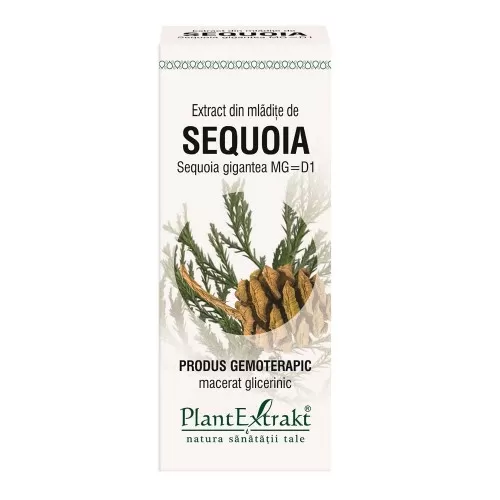 Extract din mladite de Sequoia, 50 ml, Plant Extrakt