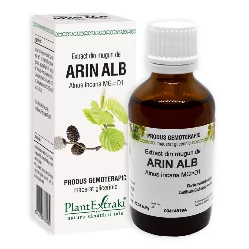 Extract din muguri de Arin Alb, 50 ml, Plant Extrakt