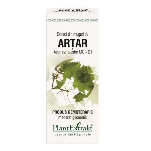 Extract din muguri de artar, 50ml, Plantextrakt