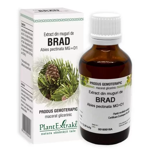 Extract din muguri de Brad, 50 ml, Plant Extrakt