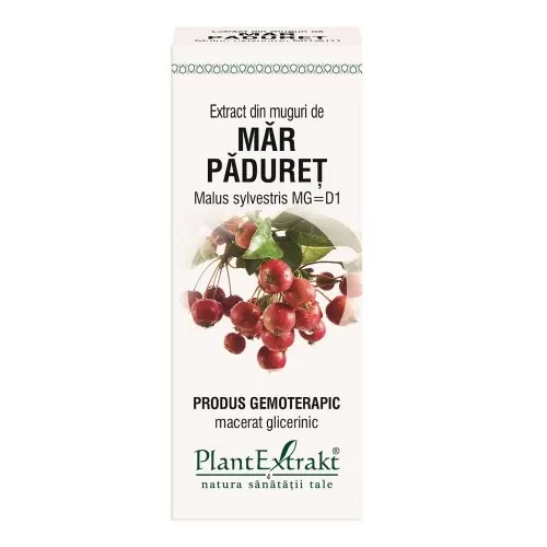 Extract din muguri de Mar Paduret, 50 ml, Plant Extrakt