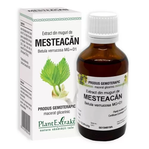 Extract din muguri de Mesteacan, 50 ml, Plant Extrakt