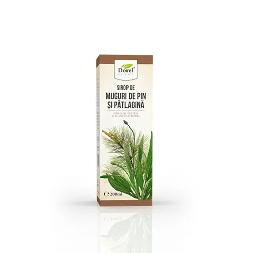 Sirop Muguri de Pin si Patlagina x 200ml - Dorel Plant