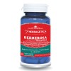 Berberina Bio-Activa, 30 capsule, Herbagetica