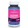 Cicoare Extract, 30 capsule, Herbagetica