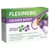 Fleximobil Colagen Boost, 10 plicuri, Fiterman