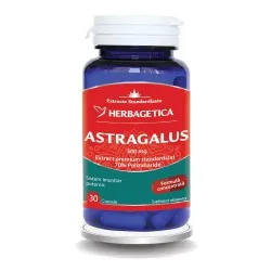 Astragalus 500mg cu 70% Polizaharide, 30 capsule, Herbagetica