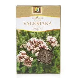 Ceai de leustean, 50 g, Stef Mar Valcea