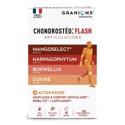 Chondrosteo+ Flash, 40 capsule, Granions