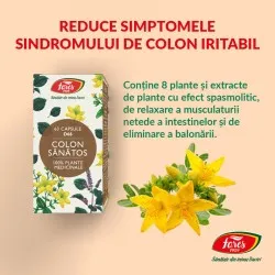 Colon sanatos, 63 capsule, Fares