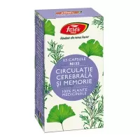 Circulatie cerebrala si memorie N132, 60 capsule, Fares