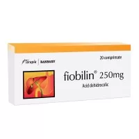 Fiobilin, 250 mg, 20 comprimate, Terapia