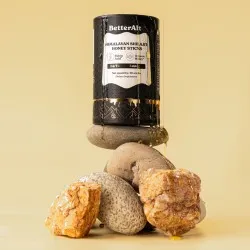 Pliculete de Shilajit din Himalaya si Miere cu 75% Acid Fulvic, 30 pliculete, GNC