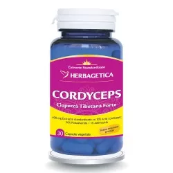 Cordyceps 10/30/1, 30 capsule, Herbagetica