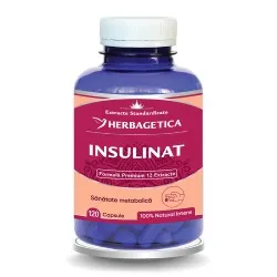 Insulinat, 120 capsule, Herbagetica