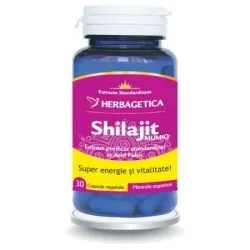Herbagetica Shilajit Mumio -cps x 30