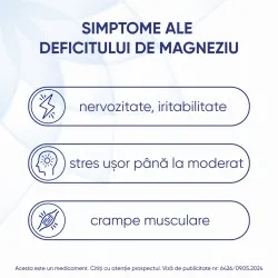 Magne B6, 100 mg/10 mg, 10 fiole, Sanofi