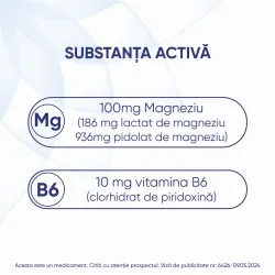 Magne B6, 100 mg/10 mg, 10 fiole, Sanofi