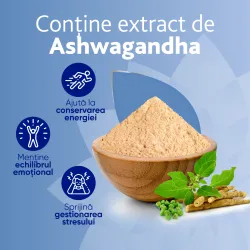 Magnevie Stress Resist Ashwagandha, 30 comprimate filmate, Sanofi