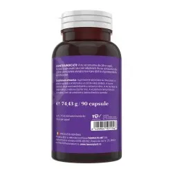 Magneziu Bisglicinat + Vitamina B6, 90 capsule, Faunus