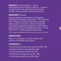 Magneziu Bisglicinat + Vitamina B6, 90 capsule, Faunus